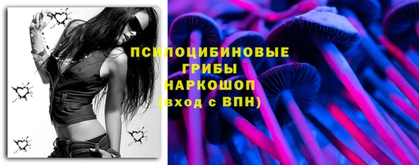 хмурый Абаза