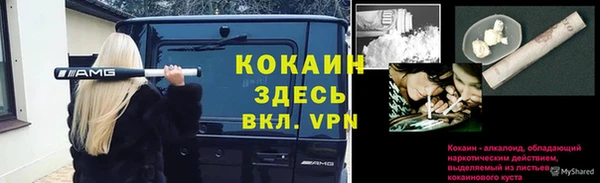 хмурый Абаза