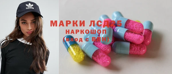 хмурый Абаза