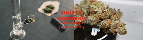 ПСИЛОЦИБИНОВЫЕ ГРИБЫ Алзамай
