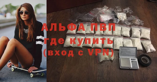 хмурый Абаза