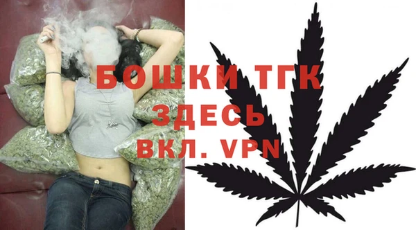 хмурый Абаза
