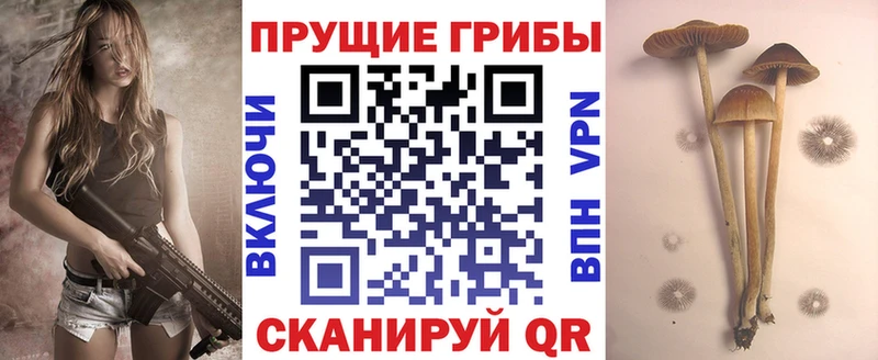 hydra как войти как найти закладки мориарти официальный сайт Галлюциногенные грибы Psilocybine cubensis Усолье